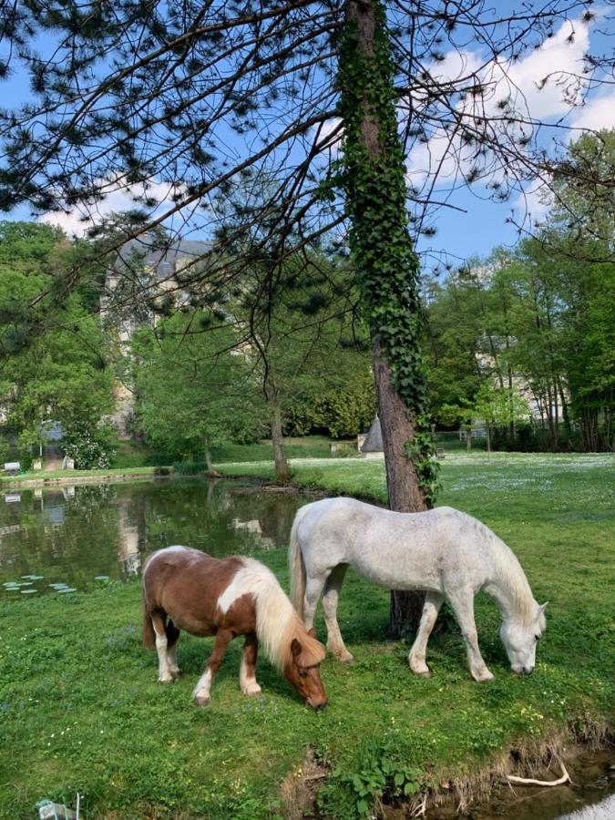 Gite Familial Chateau La Roche Racan Saint-Paterne-Racan 外观 照片